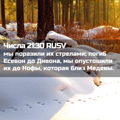 Picture 02 - Числа 21:30 RUSV - мы поразили их стрелами; - Bible Verse Picture