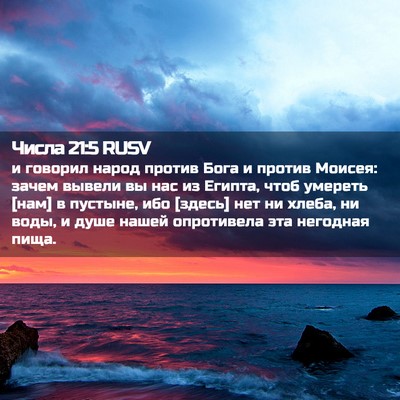 Picture 02 - Числа 21:5 RUSV - и говорил народ против - Bible Verse Picture