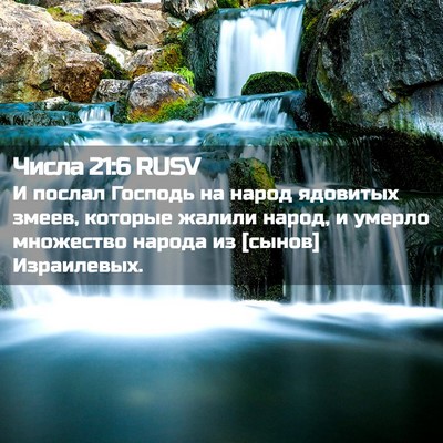 Picture 02 - Числа 21:6 RUSV - И послал Господь на народ - Bible Verse Picture
