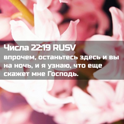 Picture 02 - Числа 22:19 RUSV - впрочем, останьтесь здесь - Bible Verse Picture