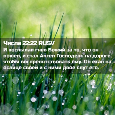 Picture 02 - Числа 22:22 RUSV - И воспылал гнев Божий за - Bible Verse Picture