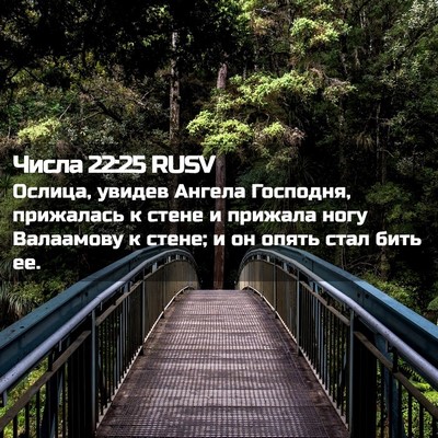 Picture 02 - Числа 22:25 RUSV - Ослица, увидев Ангела - Bible Verse Picture