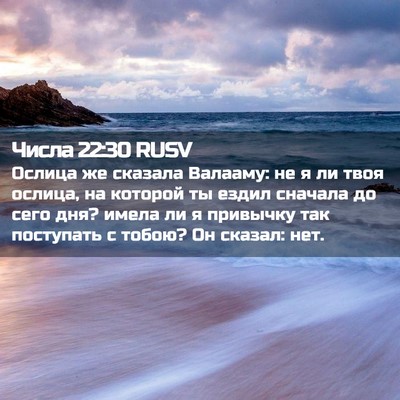 Picture 02 - Числа 22:30 RUSV - Ослица же сказала Валааму: - Bible Verse Picture