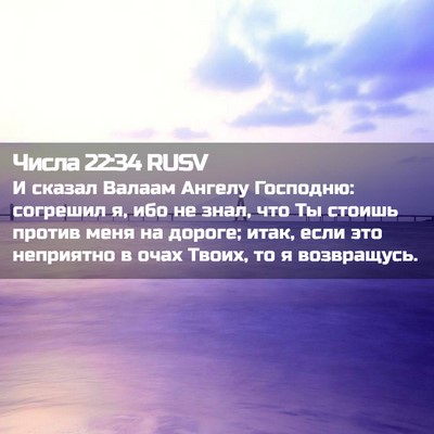Picture 02 - Числа 22:34 RUSV - И сказал Валаам Ангелу - Bible Verse Picture