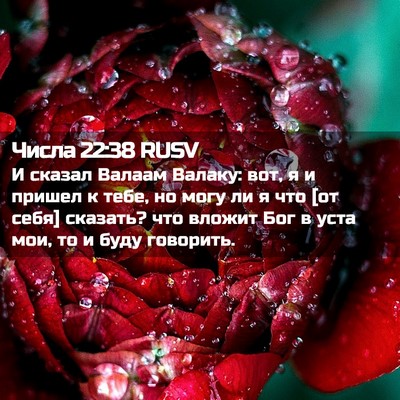 Picture 02 - Числа 22:38 RUSV - И сказал Валаам Валаку: - Bible Verse Picture