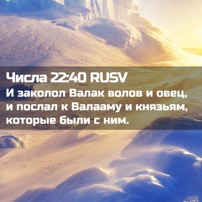 Picture 02 - Числа 22:40 RUSV - И заколол Валак волов и - Bible Verse Picture