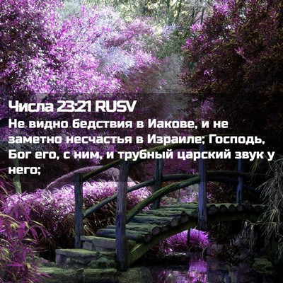 Picture 02 - Числа 23:21 RUSV - Не видно бедствия в Иакове, - Bible Verse Picture