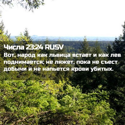 Picture 02 - Числа 23:24 RUSV - Вот, народ как львица - Bible Verse Picture