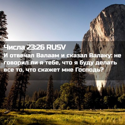 Picture 02 - Числа 23:26 RUSV - И отвечал Валаам и сказал - Bible Verse Picture