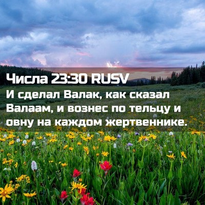 Picture 02 - Числа 23:30 RUSV - И сделал Валак, как сказал - Bible Verse Picture