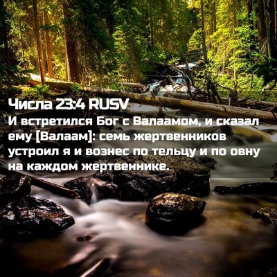 Picture 02 - Числа 23:4 RUSV - И встретился Бог с - Bible Verse Picture
