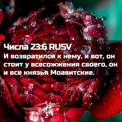 Picture 02 - Числа 23:6 RUSV - И возвратился к нему, и вот, - Bible Verse Picture