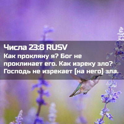 Picture 02 - Числа 23:8 RUSV - Как прокляну я? Бог не - Bible Verse Picture