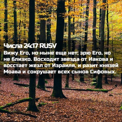 Picture 02 - Числа 24:17 RUSV - Вижу Его, но ныне еще нет; - Bible Verse Picture