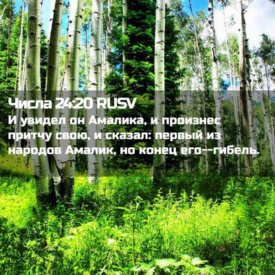 Picture 02 - Числа 24:20 RUSV - И увидел он Амалика, и - Bible Verse Picture