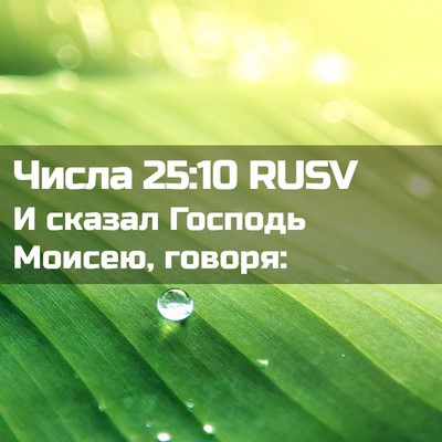 Picture 02 - Числа 25:10 RUSV - И сказал Господь Моисею, - Bible Verse Picture