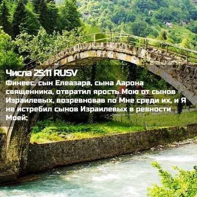 Picture 02 - Числа 25:11 RUSV - Финеес, сын Елеазара, сына - Bible Verse Picture