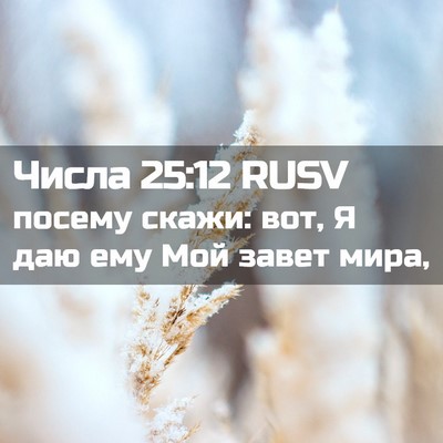 Picture 02 - Числа 25:12 RUSV - посему скажи: вот, Я даю ему - Bible Verse Picture