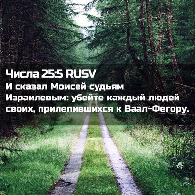 Picture 02 - Числа 25:5 RUSV - И сказал Моисей судьям - Bible Verse Picture