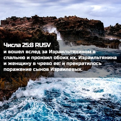 Picture 02 - Числа 25:8 RUSV - и вошел вслед за - Bible Verse Picture