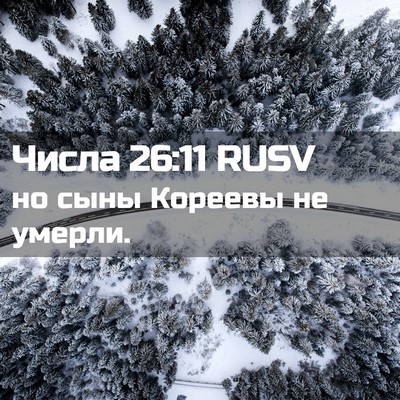 Picture 02 - Числа 26:11 RUSV - но сыны Кореевы не - Bible Verse Picture