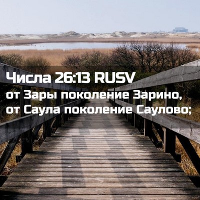 Picture 02 - Числа 26:13 RUSV - от Зары поколение Зарино, - Bible Verse Picture