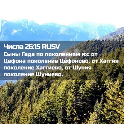Picture 02 - Числа 26:15 RUSV - Сыны Гада по поколениям их: - Bible Verse Picture