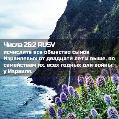 Picture 02 - Числа 26:2 RUSV - исчислите все общество - Bible Verse Picture