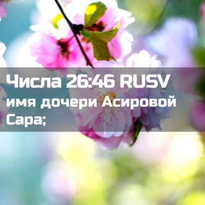 Picture 02 - Числа 26:46 RUSV - имя дочери Асировой - Bible Verse Picture