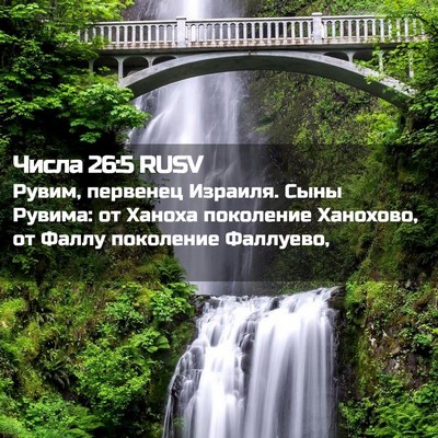 Picture 02 - Числа 26:5 RUSV - Рувим, первенец Израиля. - Bible Verse Picture