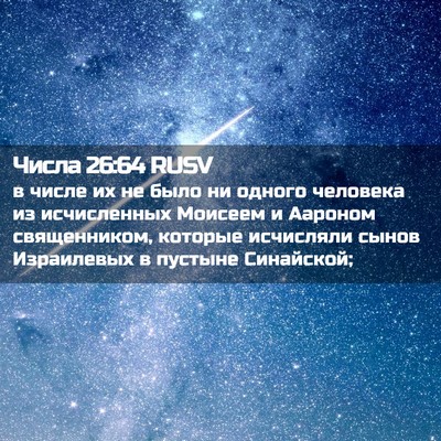 Picture 02 - Числа 26:64 RUSV - в числе их не было ни - Bible Verse Picture