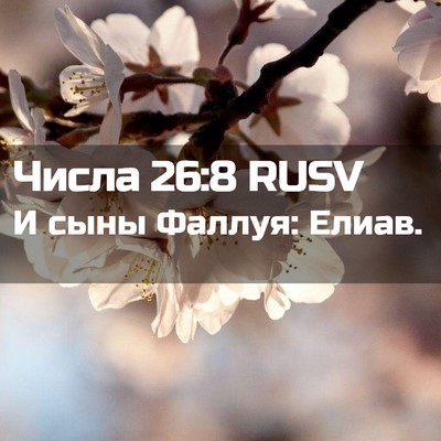 Picture 02 - Числа 26:8 RUSV - И сыны Фаллуя: - Bible Verse Picture