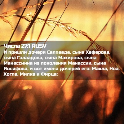 Picture 02 - Числа 27:1 RUSV - И пришли дочери Салпаада, - Bible Verse Picture