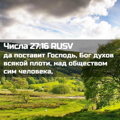 Picture 02 - Числа 27:16 RUSV - да поставит Господь, Бог - Bible Verse Picture