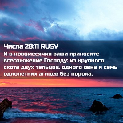 Picture 02 - Числа 28:11 RUSV - И в новомесячия ваши - Bible Verse Picture