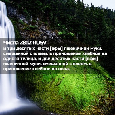 Picture 02 - Числа 28:12 RUSV - и три десятых части [ефы] - Bible Verse Picture