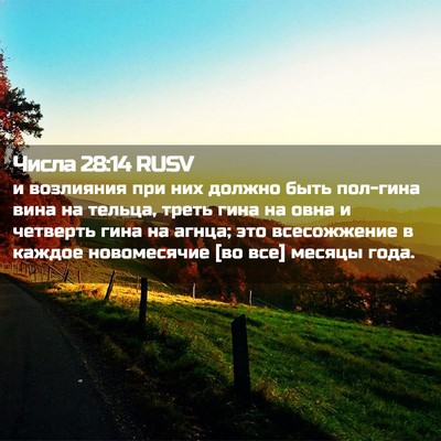 Picture 02 - Числа 28:14 RUSV - и возлияния при них должно - Bible Verse Picture