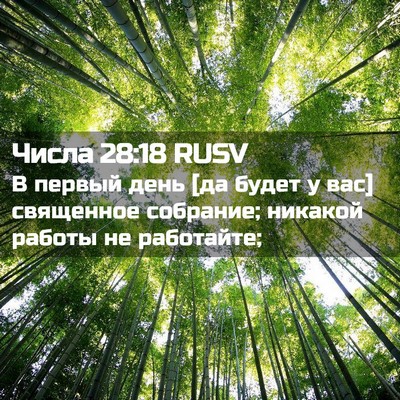 Picture 02 - Числа 28:18 RUSV - В первый день [да будет у - Bible Verse Picture