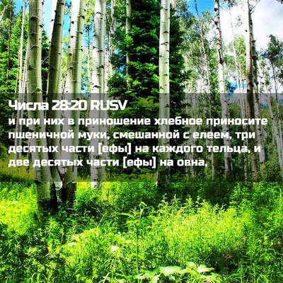 Picture 02 - Числа 28:20 RUSV - и при них в приношение - Bible Verse Picture