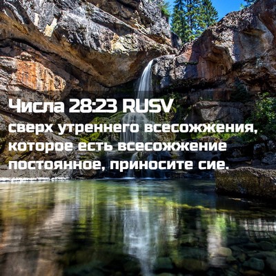 Picture 02 - Числа 28:23 RUSV - сверх утреннего - Bible Verse Picture