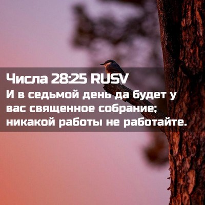 Picture 02 - Числа 28:25 RUSV - И в седьмой день да будет у - Bible Verse Picture