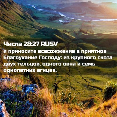 Picture 02 - Числа 28:27 RUSV - и приносите всесожжение в - Bible Verse Picture