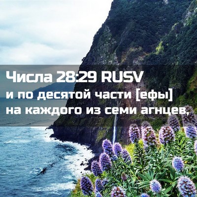 Picture 02 - Числа 28:29 RUSV - и по десятой части [ефы] на - Bible Verse Picture