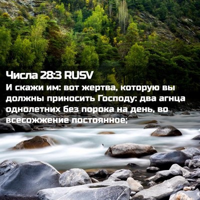 Picture 02 - Числа 28:3 RUSV - И скажи им: вот жертва, - Bible Verse Picture