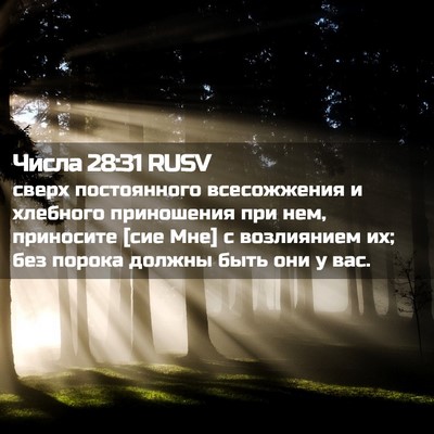 Picture 02 - Числа 28:31 RUSV - сверх постоянного - Bible Verse Picture