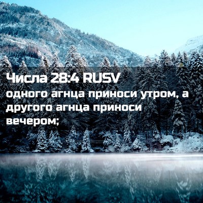 Picture 02 - Числа 28:4 RUSV - одного агнца приноси - Bible Verse Picture
