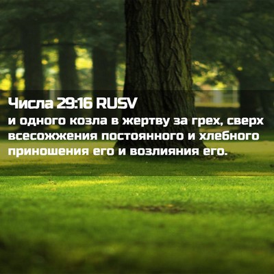 Picture 02 - Числа 29:16 RUSV - и одного козла в жертву за - Bible Verse Picture