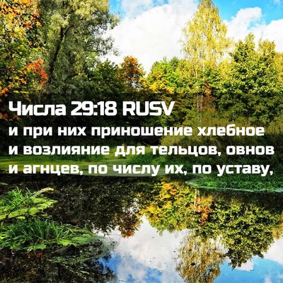 Picture 02 - Числа 29:18 RUSV - и при них приношение - Bible Verse Picture