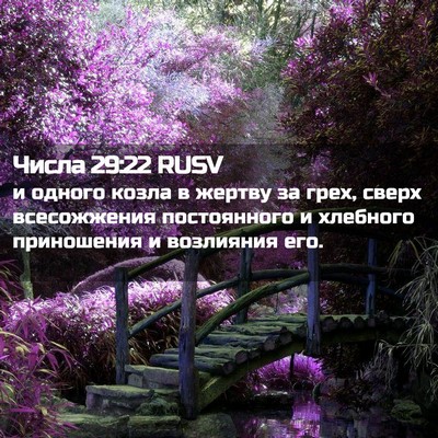 Picture 02 - Числа 29:22 RUSV - и одного козла в жертву за - Bible Verse Picture