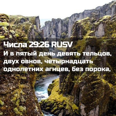 Picture 02 - Числа 29:26 RUSV - И в пятый день девять - Bible Verse Picture